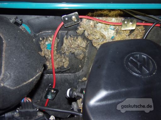 Marderschutz, Schluss mit zerbissenen Leitungen im Motorraum